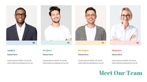 Meet our team .